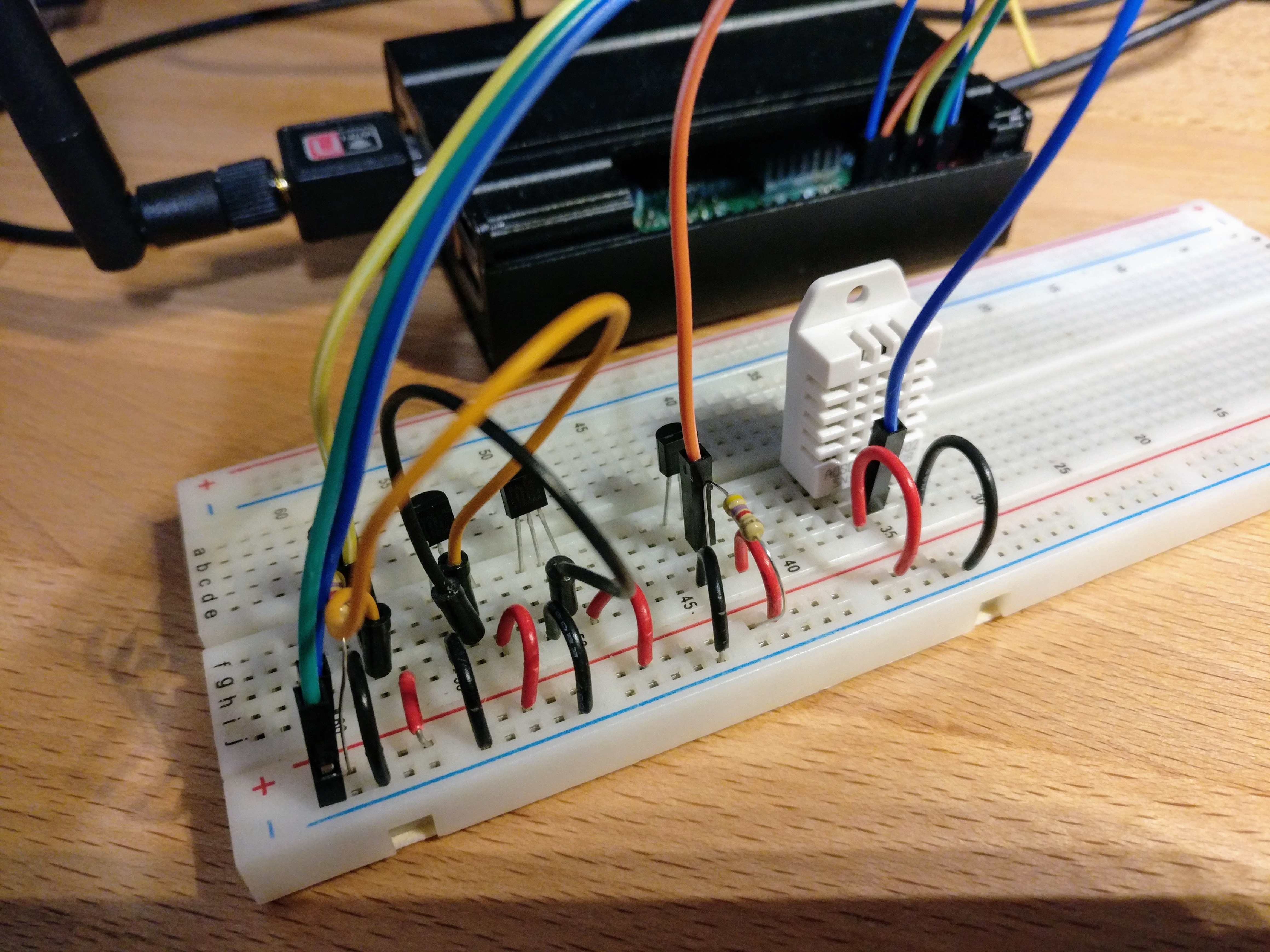 Multiple 1-Wire Buses on the Raspberry Pi